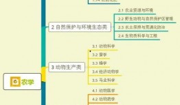 明星大爆料陈岚视频大全,明星大爆料视频全集精彩回顾