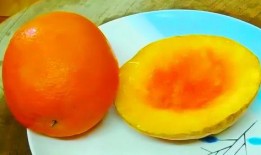 橙子爆料南瓜怎么做视频,南瓜美食制作视频教程