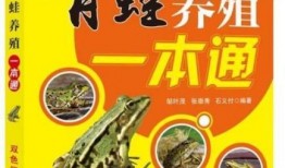 爆料田鸡饲养视频大全集,视频大全集深度解析