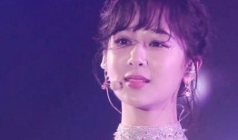 湖南卫视杨紫最新爆料