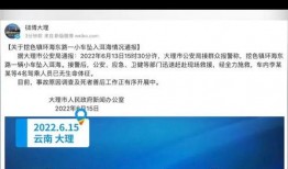 小伟哥的爆料视频大全,揭秘幕后真相与精彩瞬间