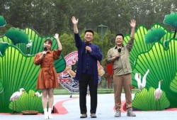 杭州学校爆料事件视频最新,真相与争议交织的教育现场