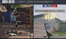 和平相处爆料视频大全集,揭秘爆料视频背后的和谐故事