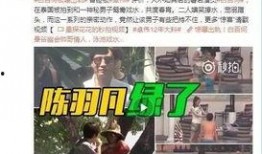 陶喆出轨爆料视频播放全集,真相大白背后的情感纠葛