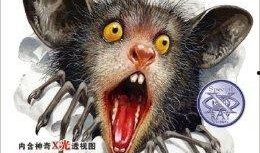 夜行动物在线观看