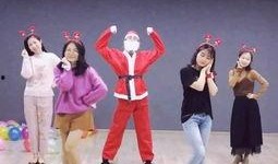 热点爆料兔子舞蹈视频,萌态可掬引网友热议