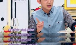 李维嘉央视爆料了吗视频,揭秘娱乐圈不为人知的一面