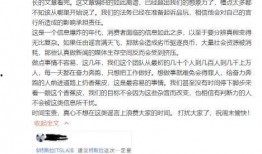 品玩爆料特斯拉的视频,品玩视频揭秘未来智能驾驶革命