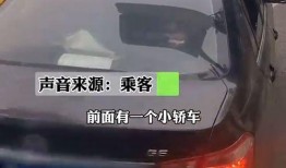 私家车载客爆料案例视频,揭秘真实案例背后的惊人内幕