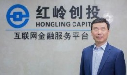 创投大佬爆料视频大全集