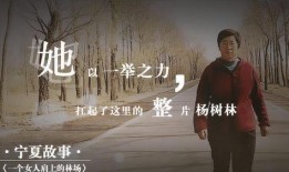 孤独的职业女在线观看,揭秘孤独职业女性的心灵世界