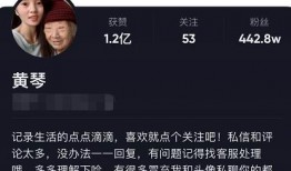 关于爆料黄琴的视频,真相与争议交织