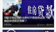 网易五周年爆料视频下载,爆料视频内容深度解析