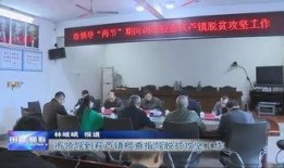 莆田东海镇爆料新闻报道,聚焦民生热点，揭示发展新动向