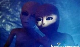 外星人惊人爆料视频大全,惊人爆料视频大全深度解析