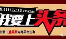 新闻爆料趣味bgm,趣味BGM助力爆料瞬间引爆网络