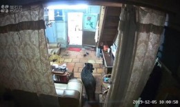 普宁新闻爆料,揭秘当地热点事件背后的真相