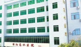 绵阳三医院爆料事件最新,真相与争议交织