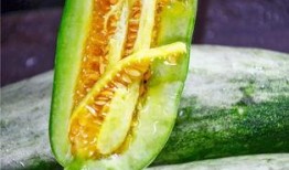 网红陈佩奇吃瓜,揭秘网红圈幕后故事