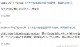 独家爆料视频观看完整版,完整版内容深度解析