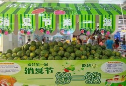 娱乐乐吃瓜,明星们的幕后“吃瓜”故事