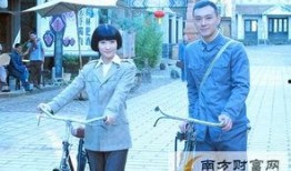 盾神全集在线观看,守护荣耀的传奇之旅