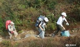 浙江野炊露营爆料案件最新,揭秘山林神秘事件真相揭晓