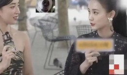 明星离谱爆料视频大全,明星离谱爆料视频大盘点