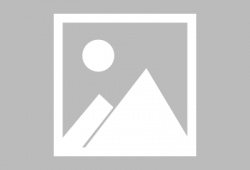 河津爆料故事最新消息新闻,最新消息揭示惊人真相！