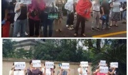 赞皇一中爆料新闻事件视频,揭秘背后真相