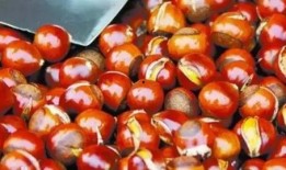 栗子吃瓜娱乐,揭秘娱乐圈幕后趣事