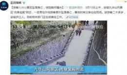 男子爆料景区视频大全