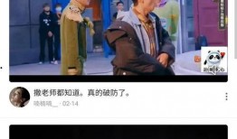 创投大佬爆料视频大全集