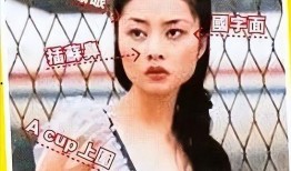 逆天改命吃瓜视频大全免费观看,免费观看吃瓜视频大全，揭秘人生逆袭奥秘