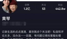 关于爆料黄琴的视频,真相与争议交织