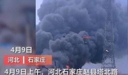 海丰月亮爆料视频大全最新,揭秘神秘事件背后的真相