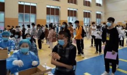 重庆小学爆料案件最新消息,案情细节及调查进展披露