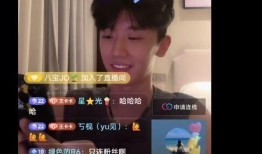 爆料老挝直播间违法吗视频,揭秘视频引发社会关注