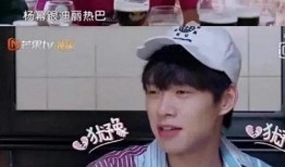 肖战杨紫圈内人爆料了吗,幕后真相首次揭露