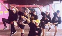 热点爆料兔子舞蹈视频,萌态可掬引网友热议