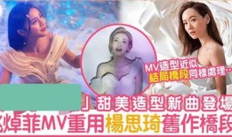 小花被爆料抄袭视频,揭秘背后真相与影响