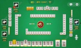 贵州麻将爆料视频,爆料视频带你领略地方特色玩法