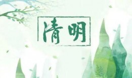 清明最新爆料,重磅爆料揭秘幕后故事