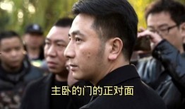 林生斌最新爆料录,揭秘事件背后惊人真相